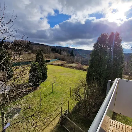 Haus Celina 1 * Altenau (Lower-Saxony)